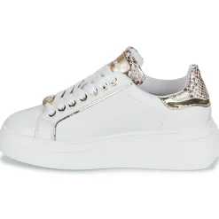 Online Meline - 608ACC-LO-E883