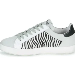 Clearance Meline - MOLI