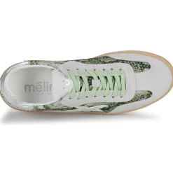 Clearance Meline - 526R-E560