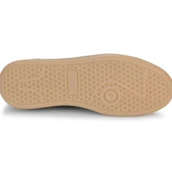 Clearance Meline - 526R-E560