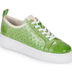 Clearance Melvin & Hamilton - AMBER 6 Vert