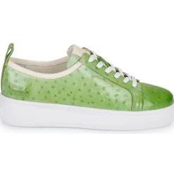 Clearance Melvin & Hamilton - AMBER 6 Vert