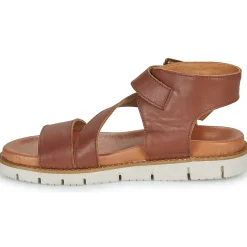 Metamorf'Ose - NANOPHAGE Marron Outlet