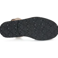 Minorquines - AVARCA