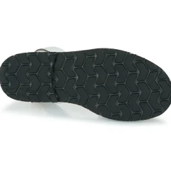 Minorquines - AVARCA