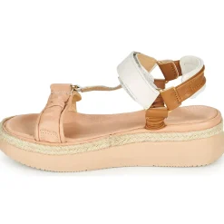 Sale Mjus - PASA TREK