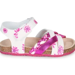 Clearance Mod'8 - KOENIA