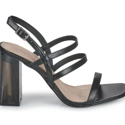 Moony Mood - PELINA Noir