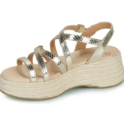 MTNG - 59897 Doré Hot