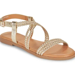 Best MTNG - 54488 Doré