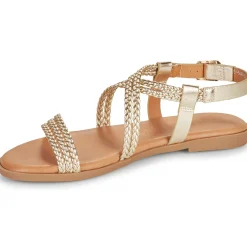 Best MTNG - 54488 Doré