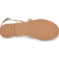 Best MTNG - 54488 Doré