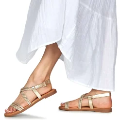 Best MTNG - 54488 Doré