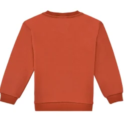 Name it - NKFOCALI LS SWEAT Rouge New