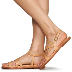 Hot Neosens - AURORA Marron