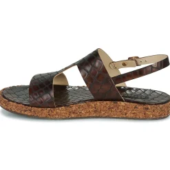 Neosens - TARDANA Marron Hot