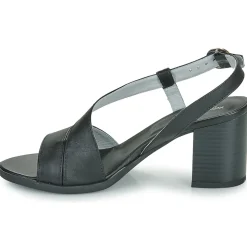 NeroGiardini - E410440D Noir Sale