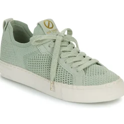 Best No Name - ARCADE FLY W Vert