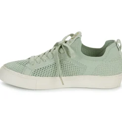 Best No Name - ARCADE FLY W Vert