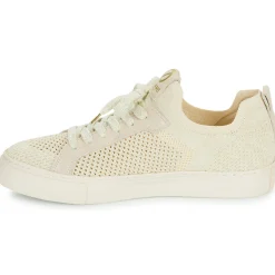 No Name - ARCADE FLY W Sale