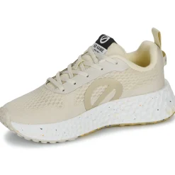 No Name - CARTER FLY W