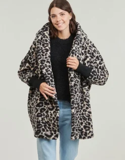 Noisy May - NMCUDDLE Marron Best