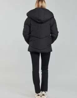 Noisy May - NMTALLY Noir Hot