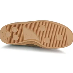 Novesta - STAR MASTER 42 MLTR