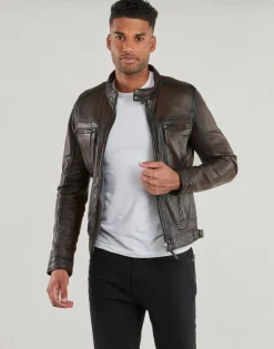 Oakwood - CASEY Marron Hot