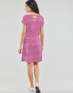 Online Only - ONLNOVA