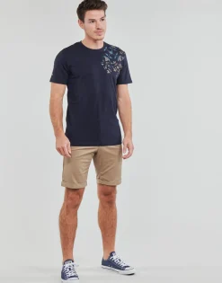 New Oxbow - P0TASTA Marine