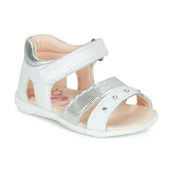 Online Pablosky - DINNA