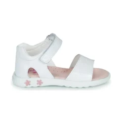 Pablosky - TAVID Blanc Online