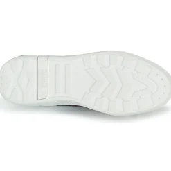 Palladium - EGO 03 NPA