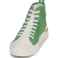 Online Palladium - PALLA ACE CHUKKA ORG