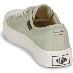 Palladium - PALLA ACE CVS