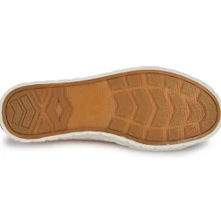 Palladium - PALLA ACE CVS ORG