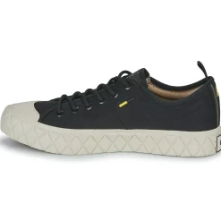 Palladium - PALLA ACE LO SUPPLY