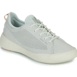 Palladium - PALLANOVA LTH Blanc Online