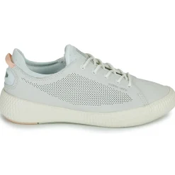 Palladium - PALLANOVA LTH Blanc Online