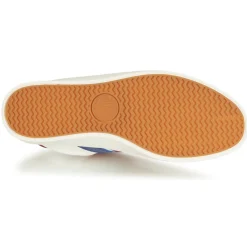 Palladium - PALLAPHOENIX FLAME