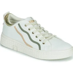 Palladium - PALLATEMPO 02 CVS