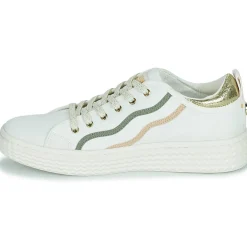 Palladium - PALLATEMPO 02 CVS