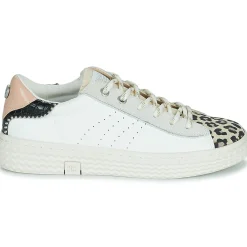 Palladium - pallatempo 02 cvs