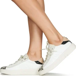 Palladium - pallatempo 02 cvs