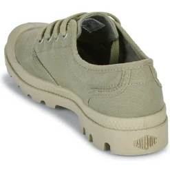 Palladium - PAMPA OX