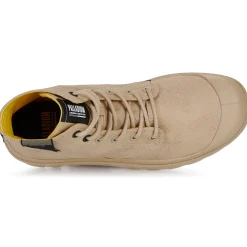 Palladium - PAMPA SURPLUS