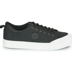 Palladium - STUDIO 02