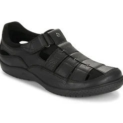 Panama Jack - MERIDIAN C25