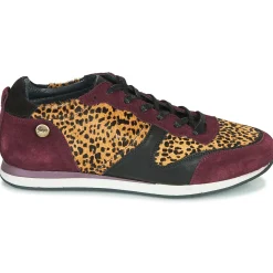 Pataugas - IDOL/I F4E